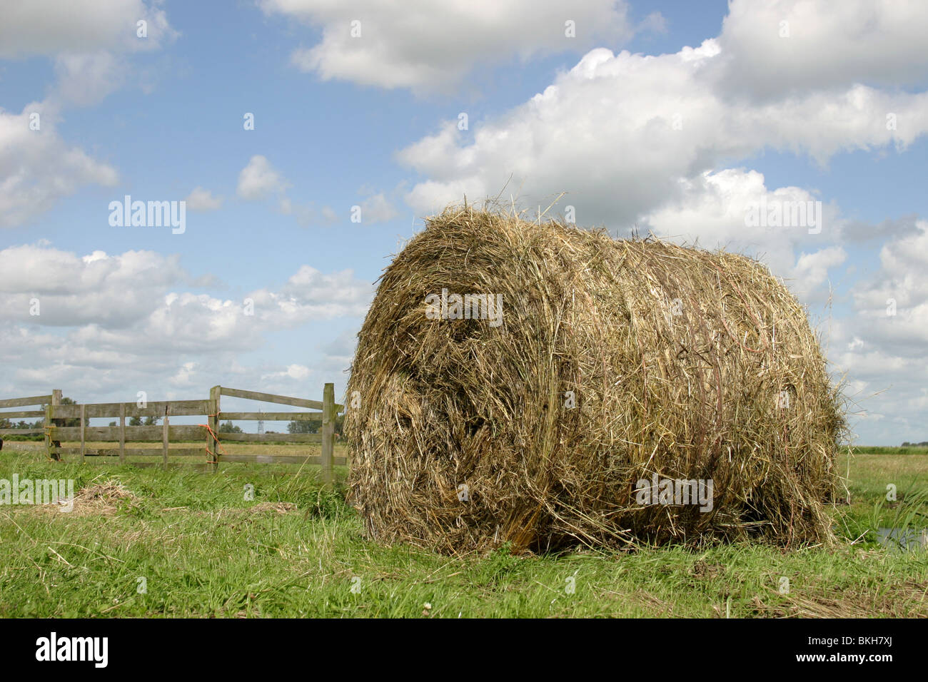 Foto van een grasbaal mourir te sécher ligt een weiland rencontré op de achtergrond een damhek ; photo d'une balle d'herbe séchant sur un pâturage avec en arrière-plan une clôture traditionnelle hollandaise Banque D'Images