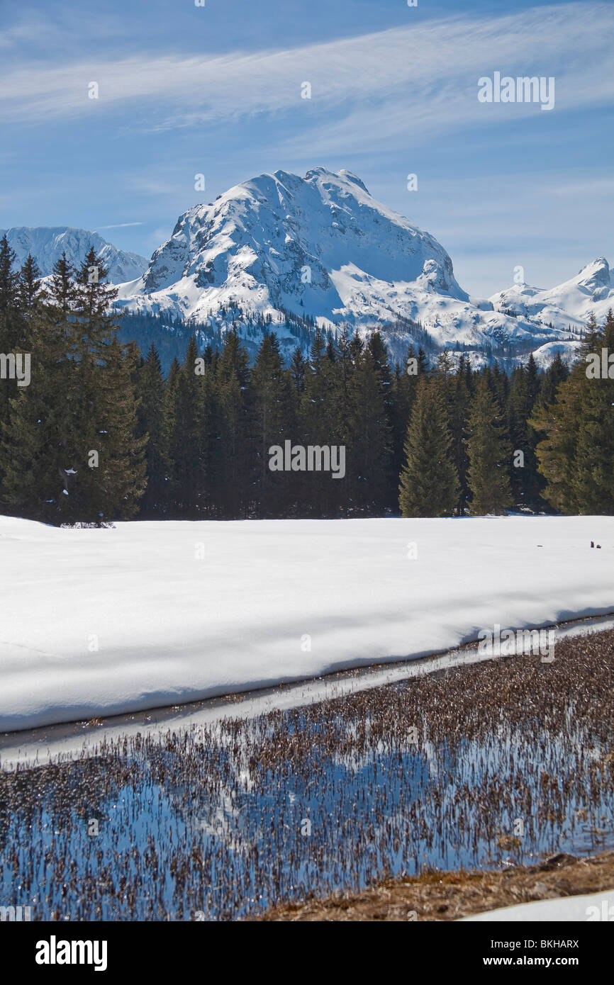 Parc national de Durmitor, hiver, neige, Monténégro Banque D'Images