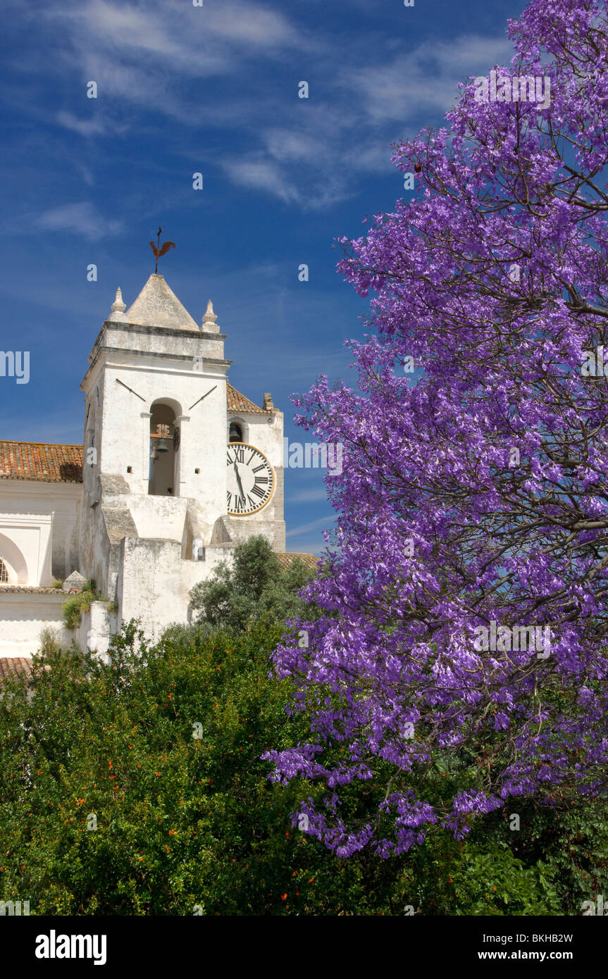 Le Portugal, l'Algarve, Tavira, église Santa Maria do Castelo, avec un arbre jacaranda en fleur Banque D'Images