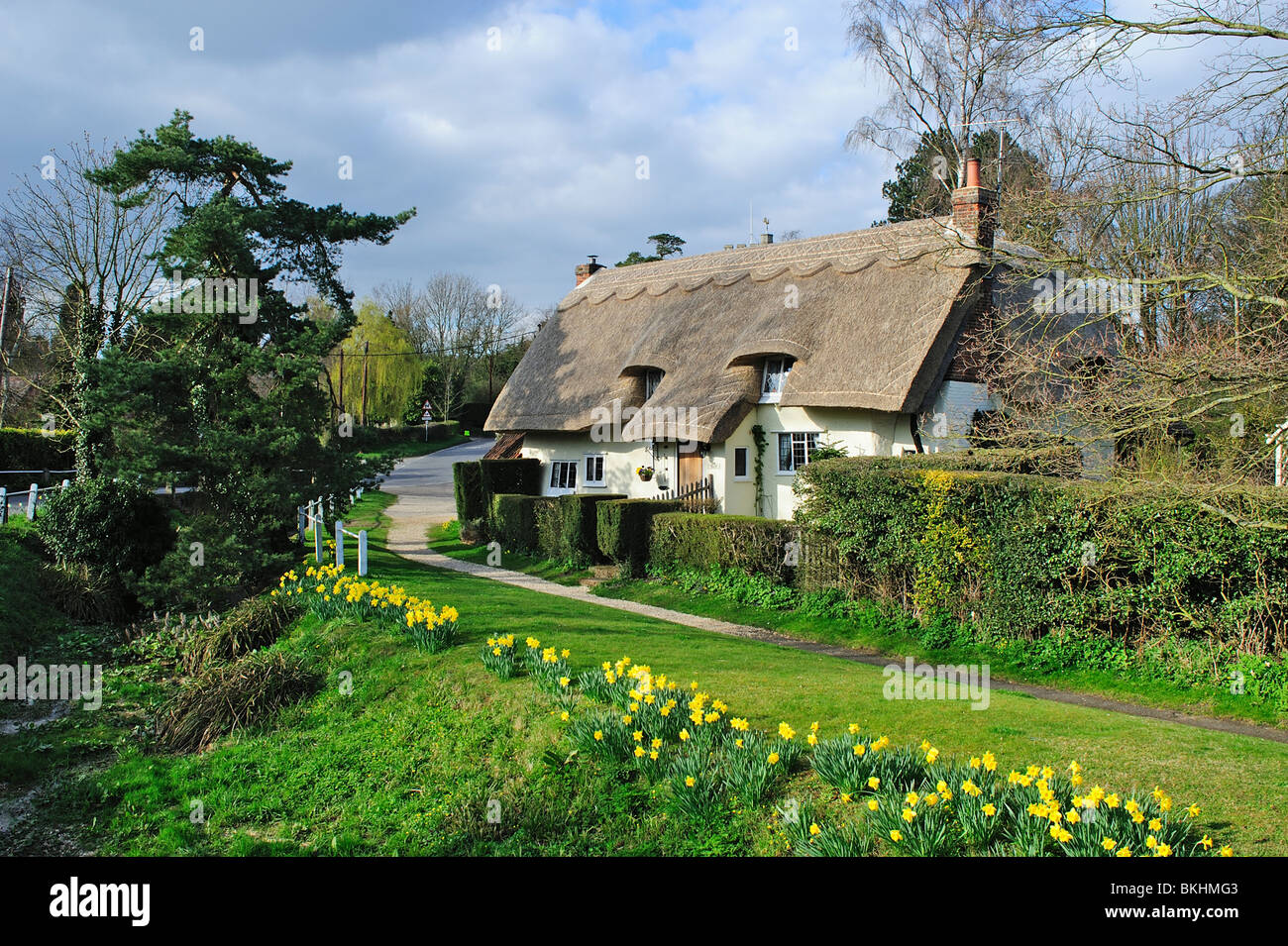 Cottage au toit de chaume, Arkesden, Saffron Walden, Essex, UK, Banque D'Images