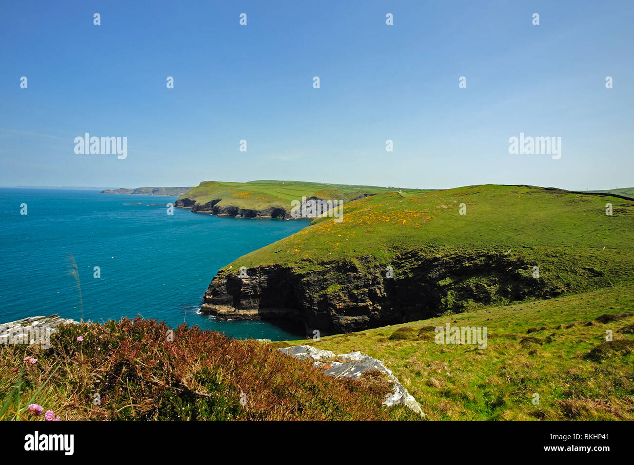 Vers le nord, Boscastle, Cornwall, UK Banque D'Images