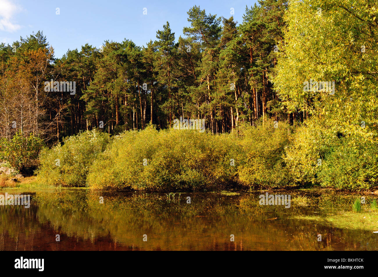 Paysage avec lac, forêt et ciel bleu Banque D'Images