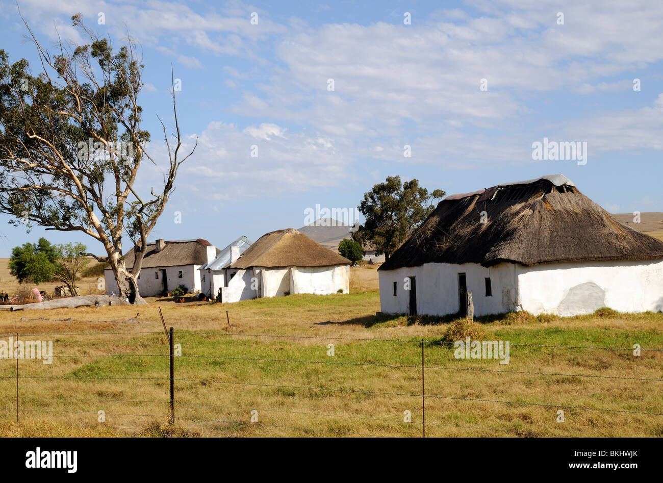 Maisons de chaume rural pour les travailleurs agricoles à Darling dans le Western Cape Afrique du Sud Banque D'Images