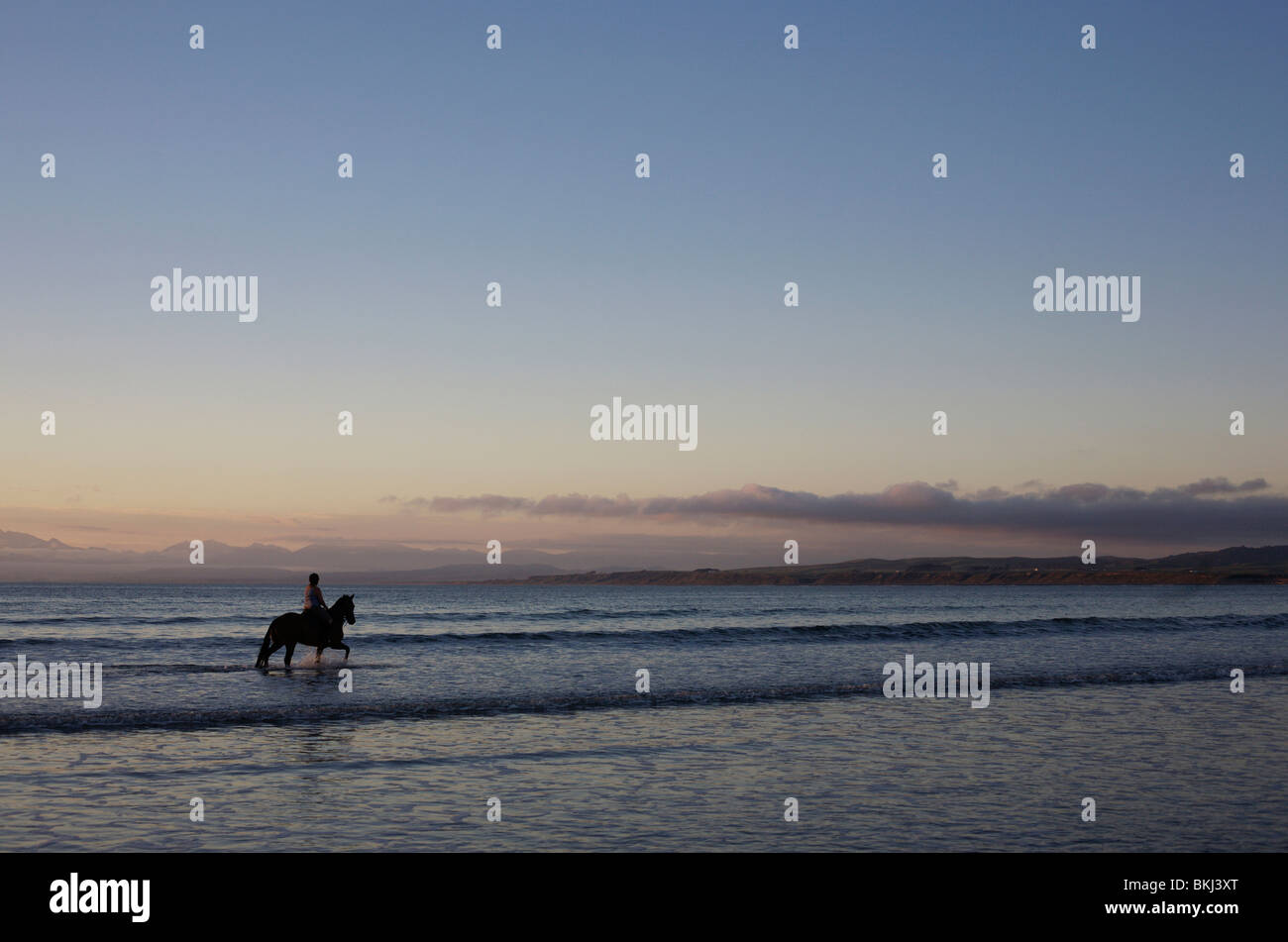 Un cheval et cavalier dans la mer à Monkey Island dans Southland, Nouvelle-Zélande Banque D'Images