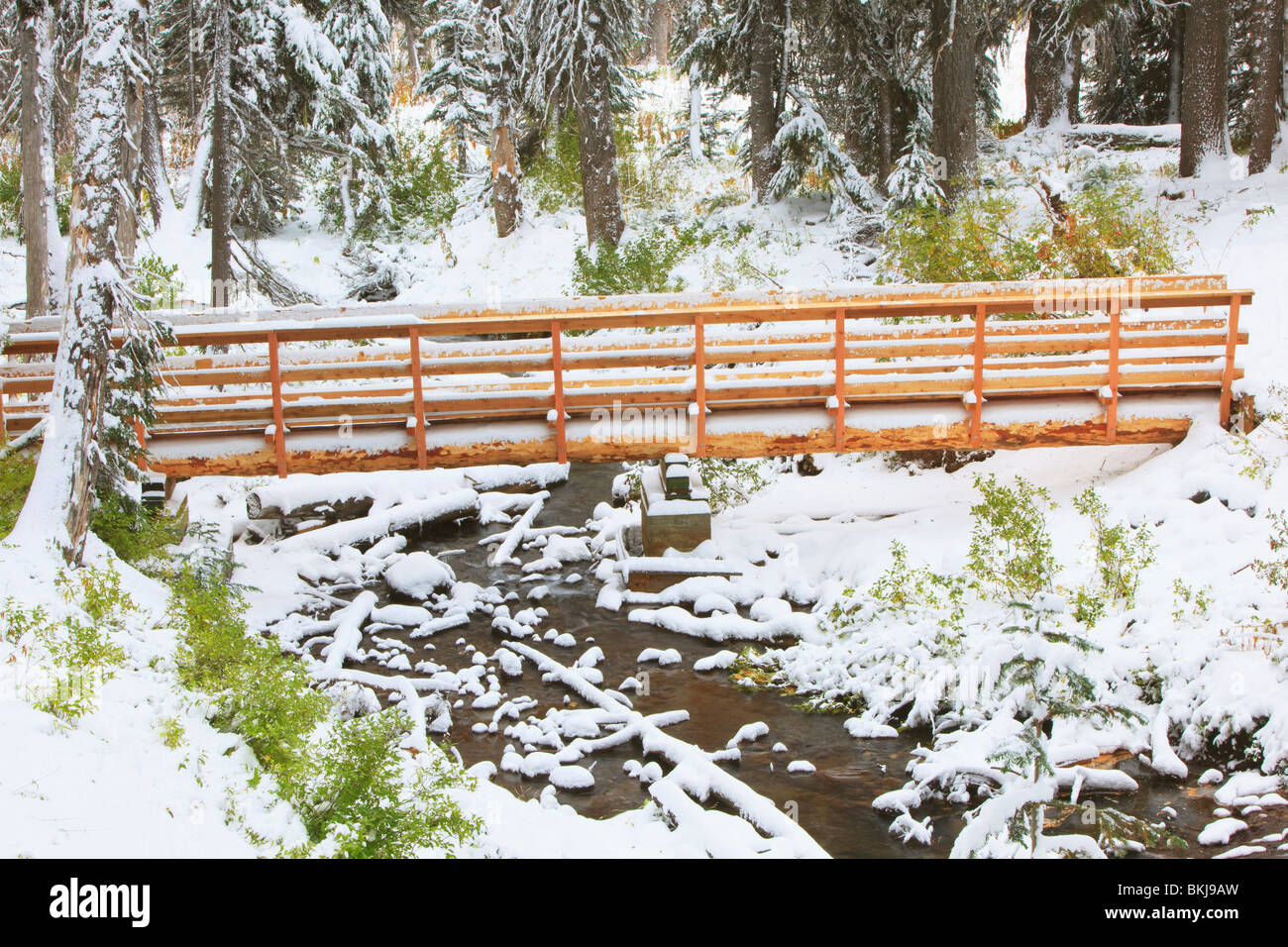 Oregon, États-Unis d'Amérique ; Première neige le long de l'automne tombe sur parapluie Mount Hood dans l'Oregon Cascades Banque D'Images