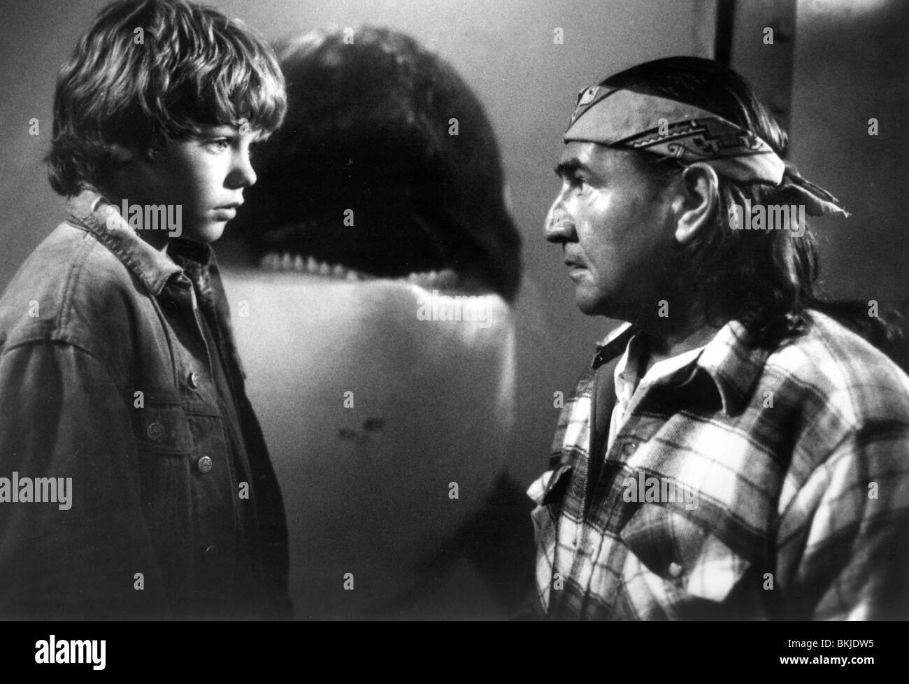 Sauvez Willy (1993) JASON JAMES RICHTER, August SCHELLENBERG FWLY 019P Banque D'Images