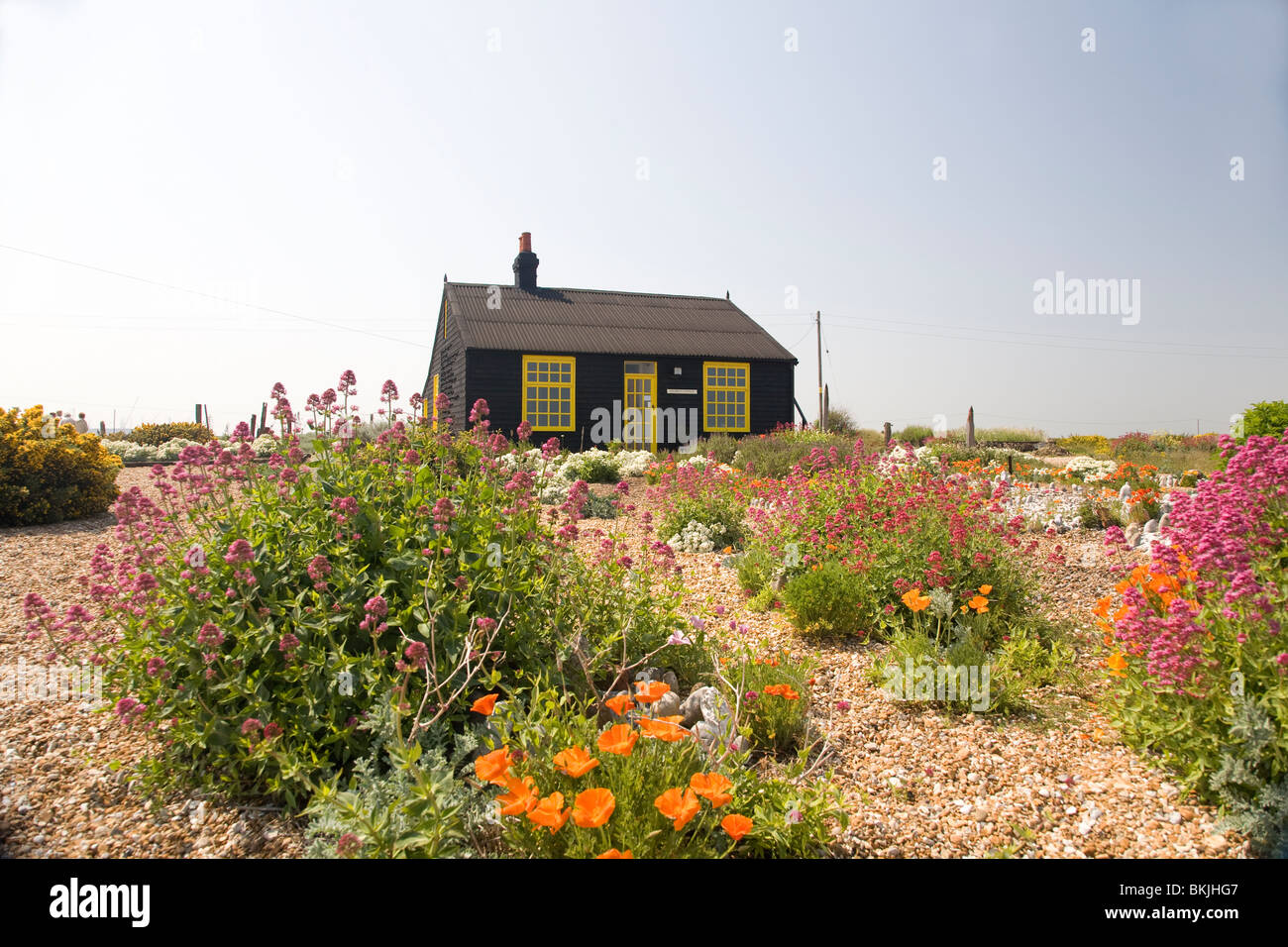 Perspective Cottage, Dungeness, Kent UK Banque D'Images