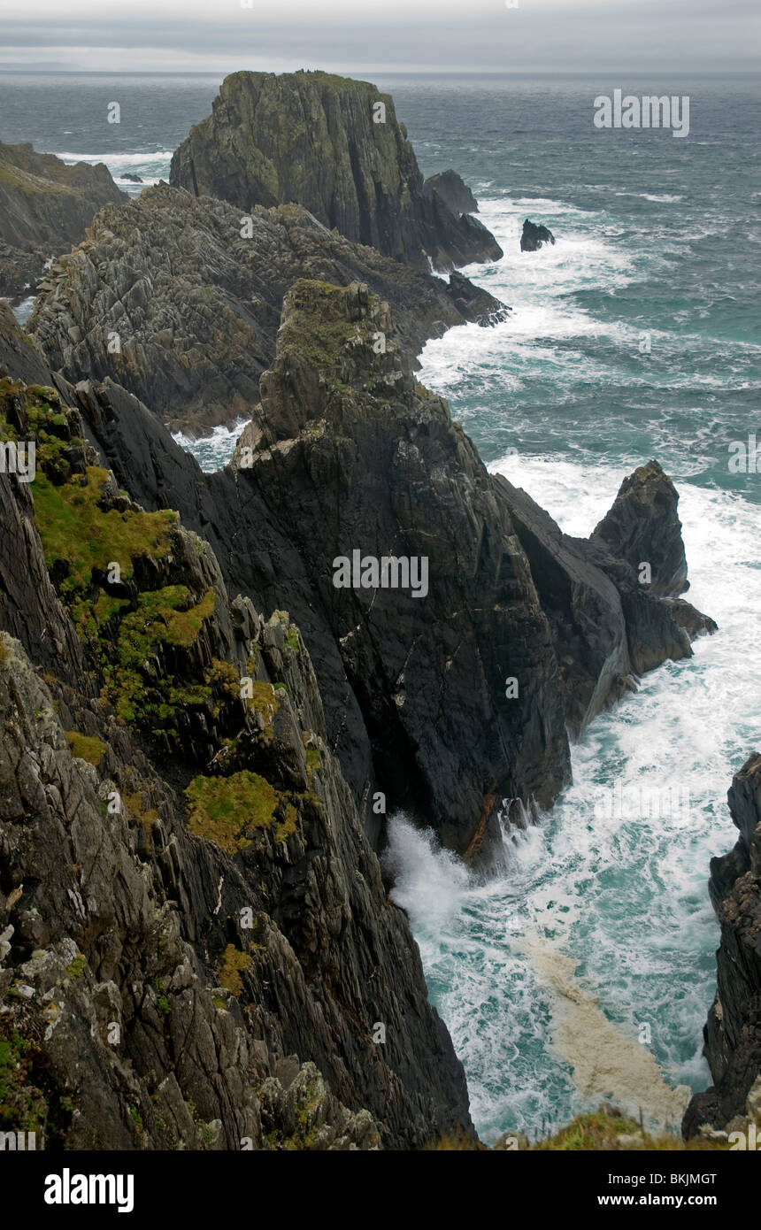 Cliffs à Malin Head, Donegal, Irlande Banque D'Images