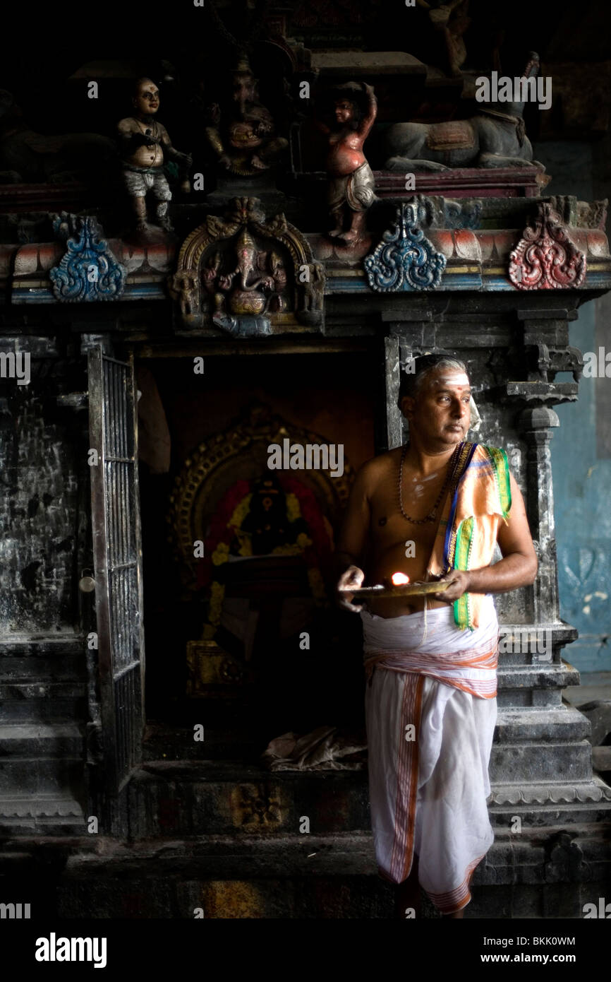 Un prêtre d'un culte au temple de Murugan, Swamimalai, Inde Banque D'Images