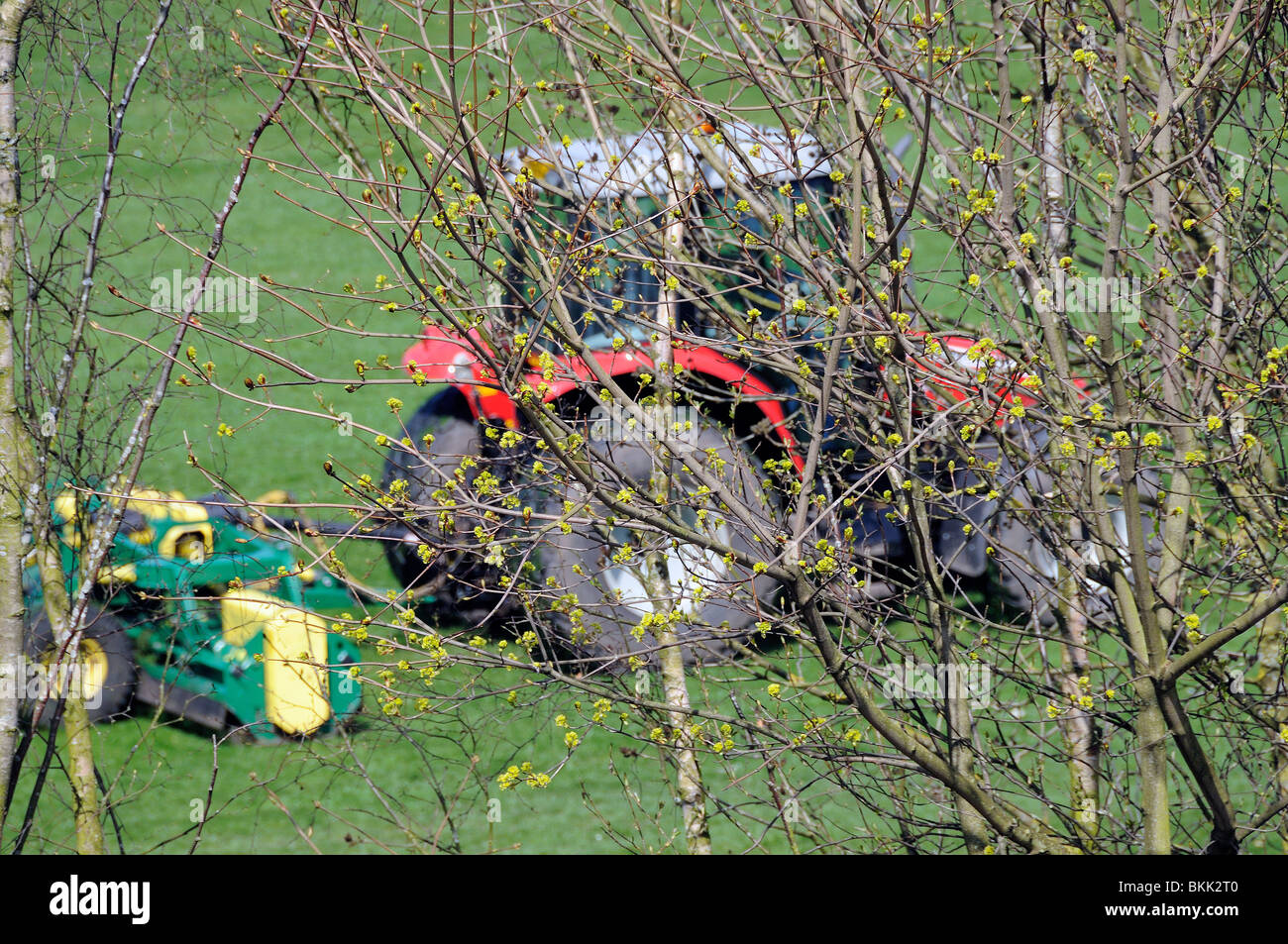 Tonte de pelouse tracteur Banque D'Images