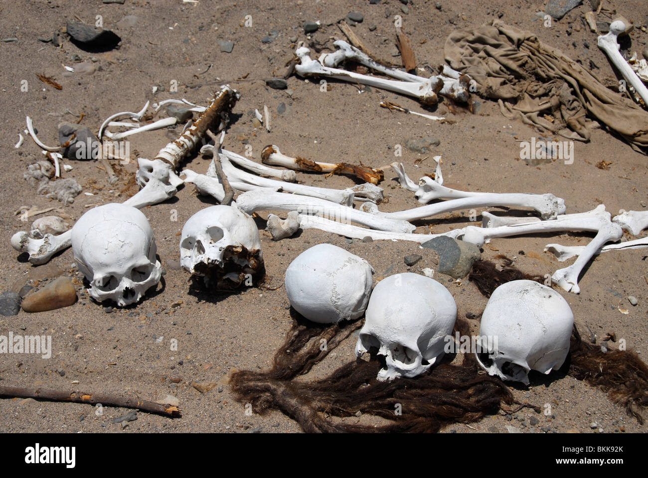 Crânes dans le désert de Nazca cimetière pillé, Nazca, Pérou, Amérique du Sud Banque D'Images