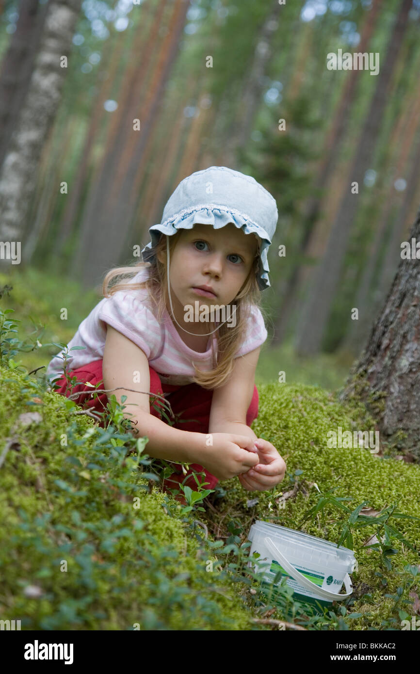 Trois ans fille Berry-Picker in forest Banque D'Images