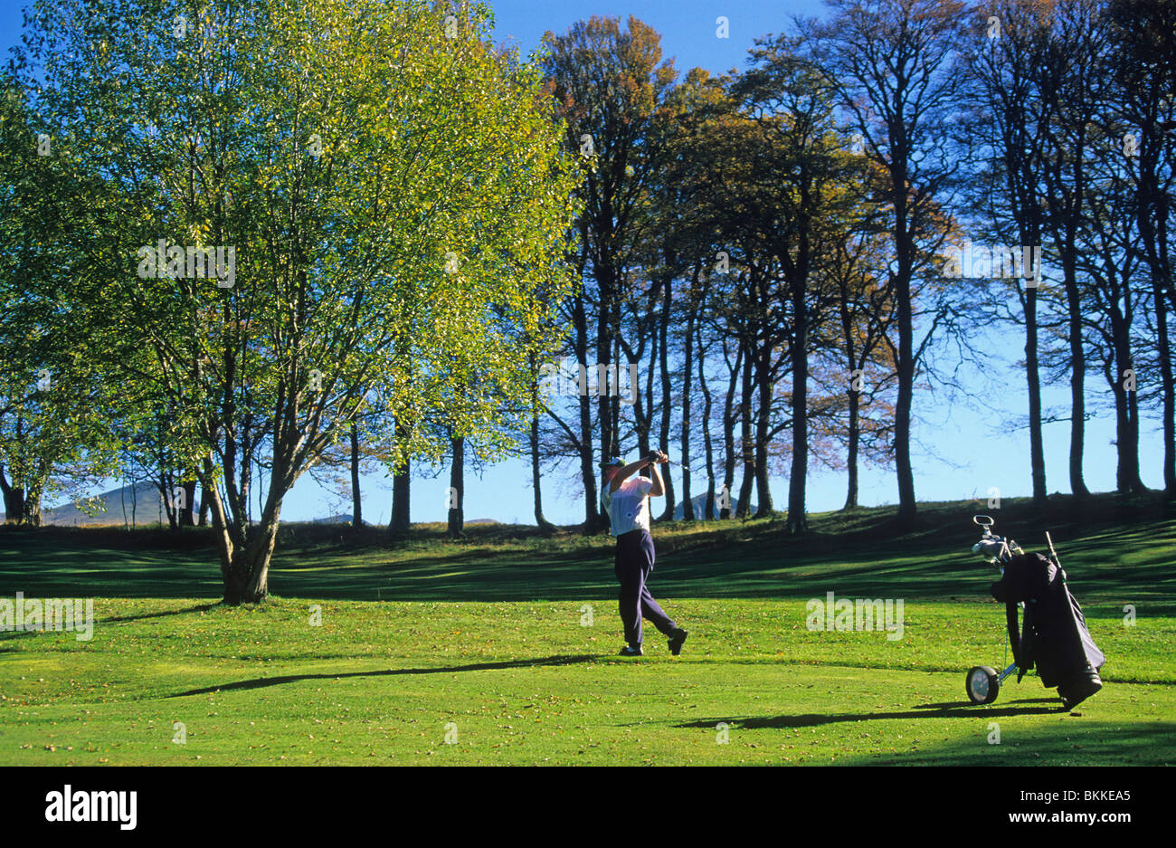 Swinging golfeur. Banque D'Images