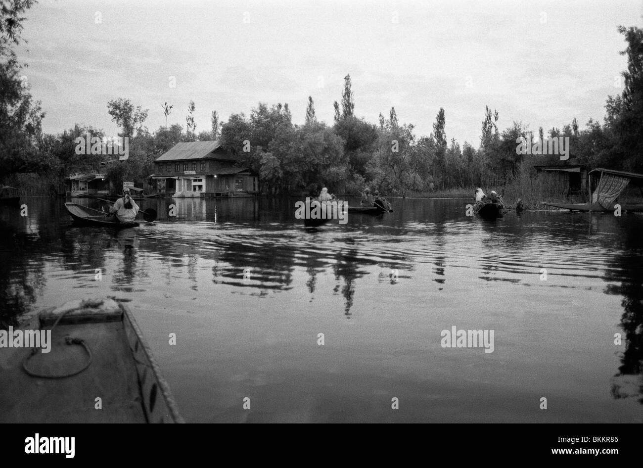 Hikaras «' les petits bateaux sur le lac Dal, à Srinagar, dans la vallée du Cachemire Banque D'Images