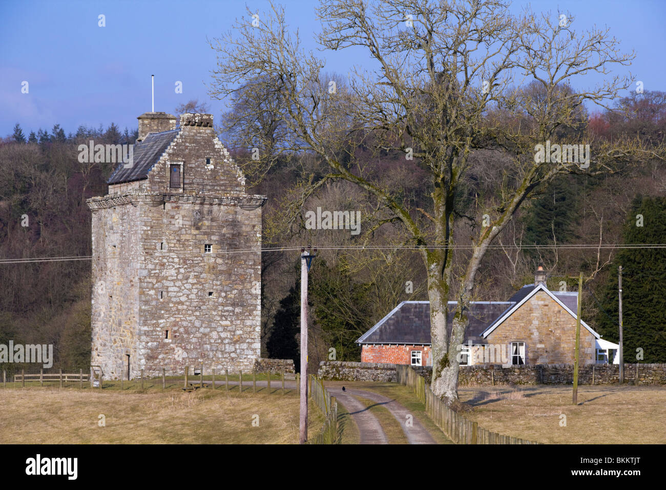 Creux, la tour maison du clan Armstrong lairds de Gilnockie sur la frontière entre l'Angleterre et l'Ecosse Banque D'Images