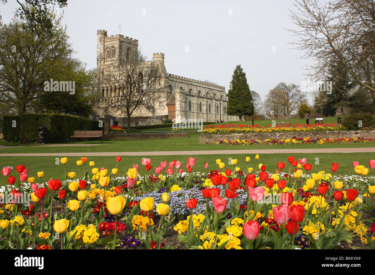 Jardins du prieuré en fleur, Dunstable Bedfordshire, Banque D'Images