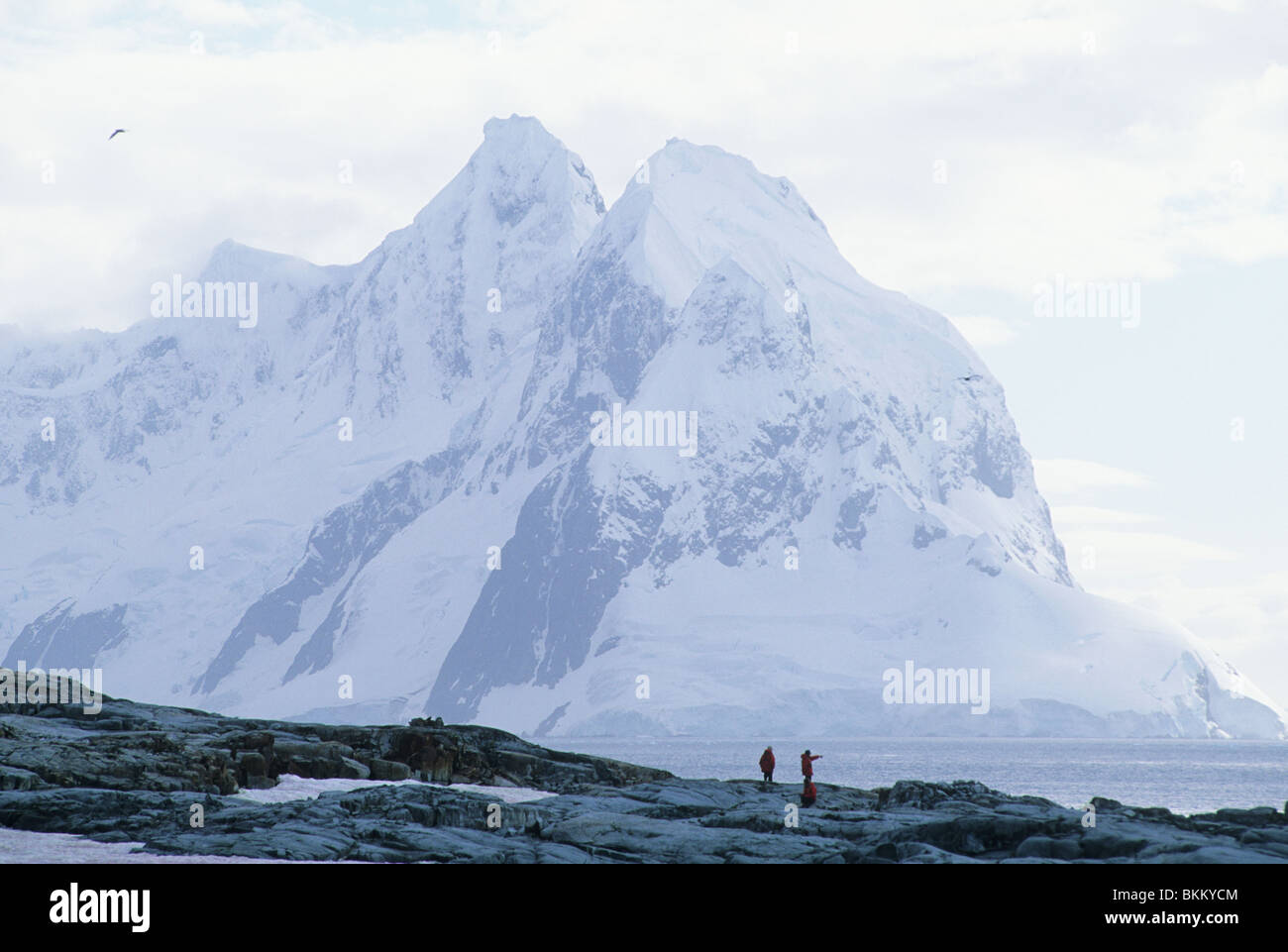L'Antarctique, l'Île Petermann, péninsule antarctique. Banque D'Images