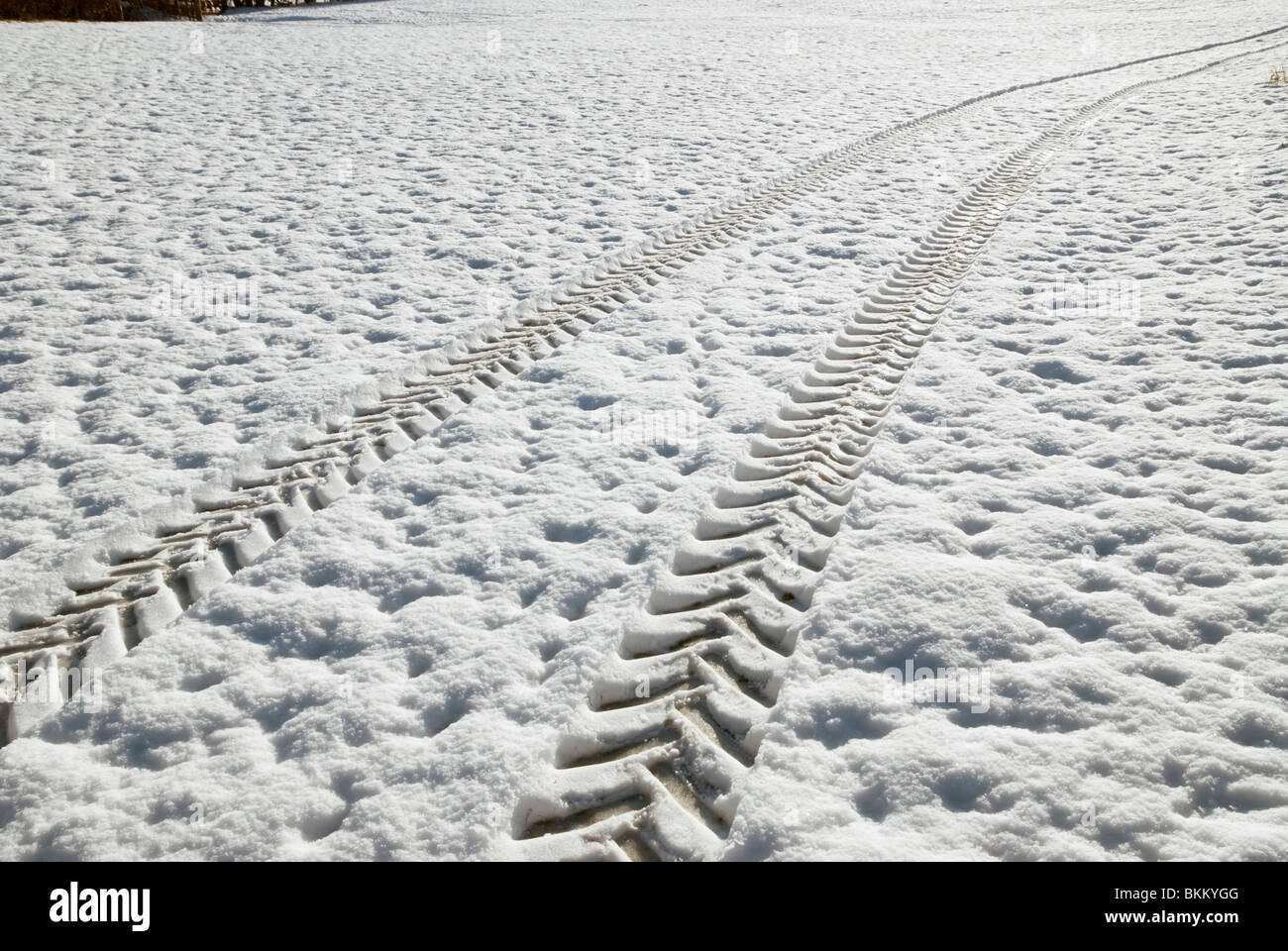 Les traces de pneus du tracteur dans un champ neigeux au Pays de Galles Banque D'Images