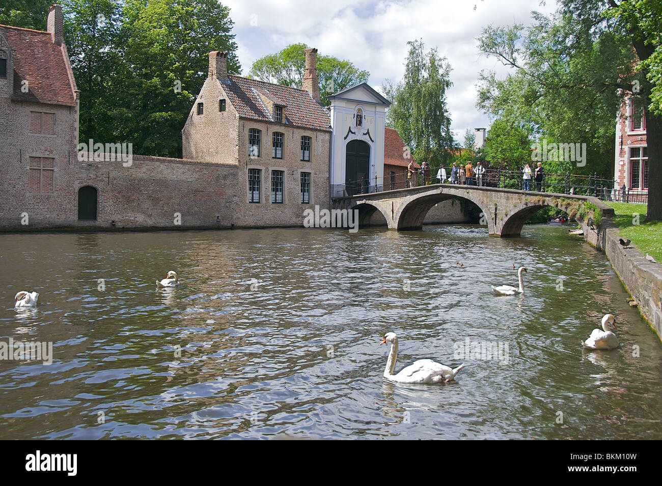 Les gens debout sur un pont en admirant une vue de cygnes dans l'eau au milieu de l'architecture ancienne à Bruges, Belgique Banque D'Images
