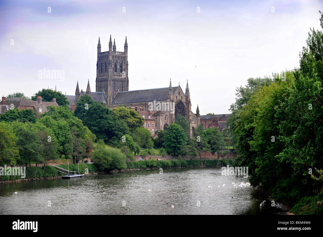 La Cathédrale de Worcester sur les rives du fleuve Severn UK Worcestershire Banque D'Images