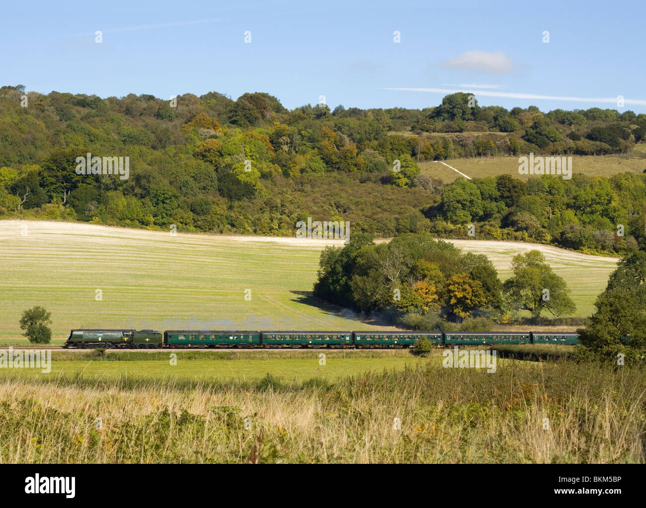 Une charte de travail en Train à vapeur sur les collines du Surrey en Angleterre. Banque D'Images