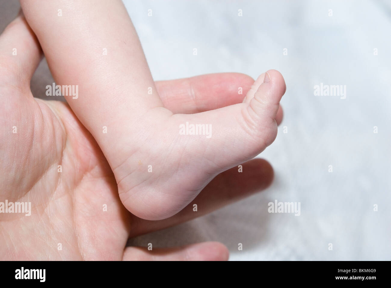 Close Up Sur Petit Pied De Bebe Fille Tenue En Main Les Meres Photo Stock Alamy Close Up Sur Petit Pied De Bebe Fille Tenue En Main Les Meres Photo Stock Alamy