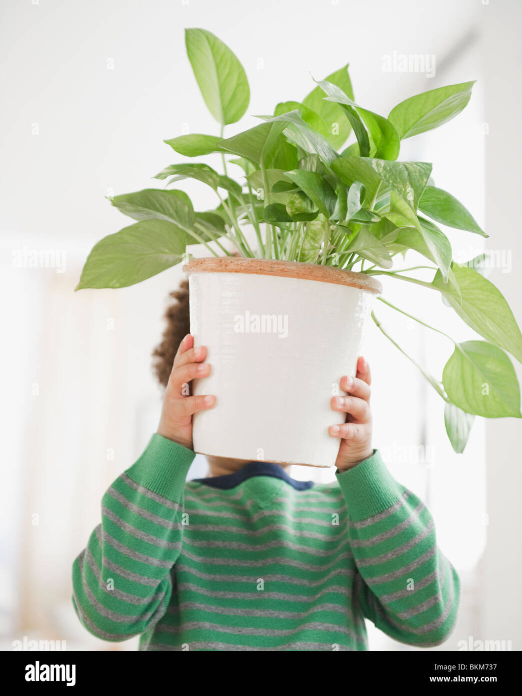 Black Boy carrying potted plant Banque D'Images