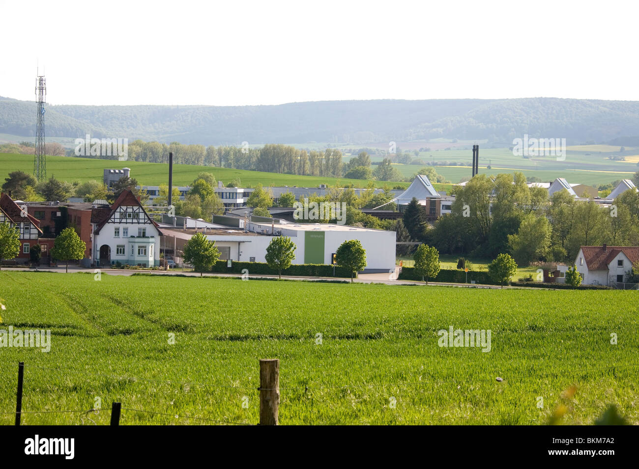 Frühling im Deister - Printemps en Allemagne Banque D'Images