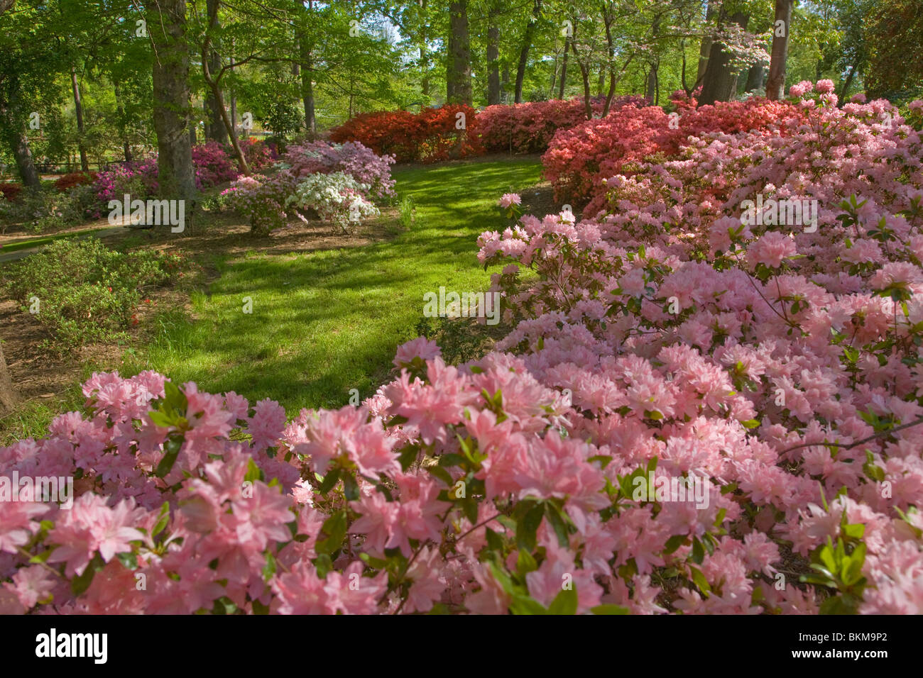 Jardin Glencairn à Rock Hill en Caroline du Sud Banque D'Images