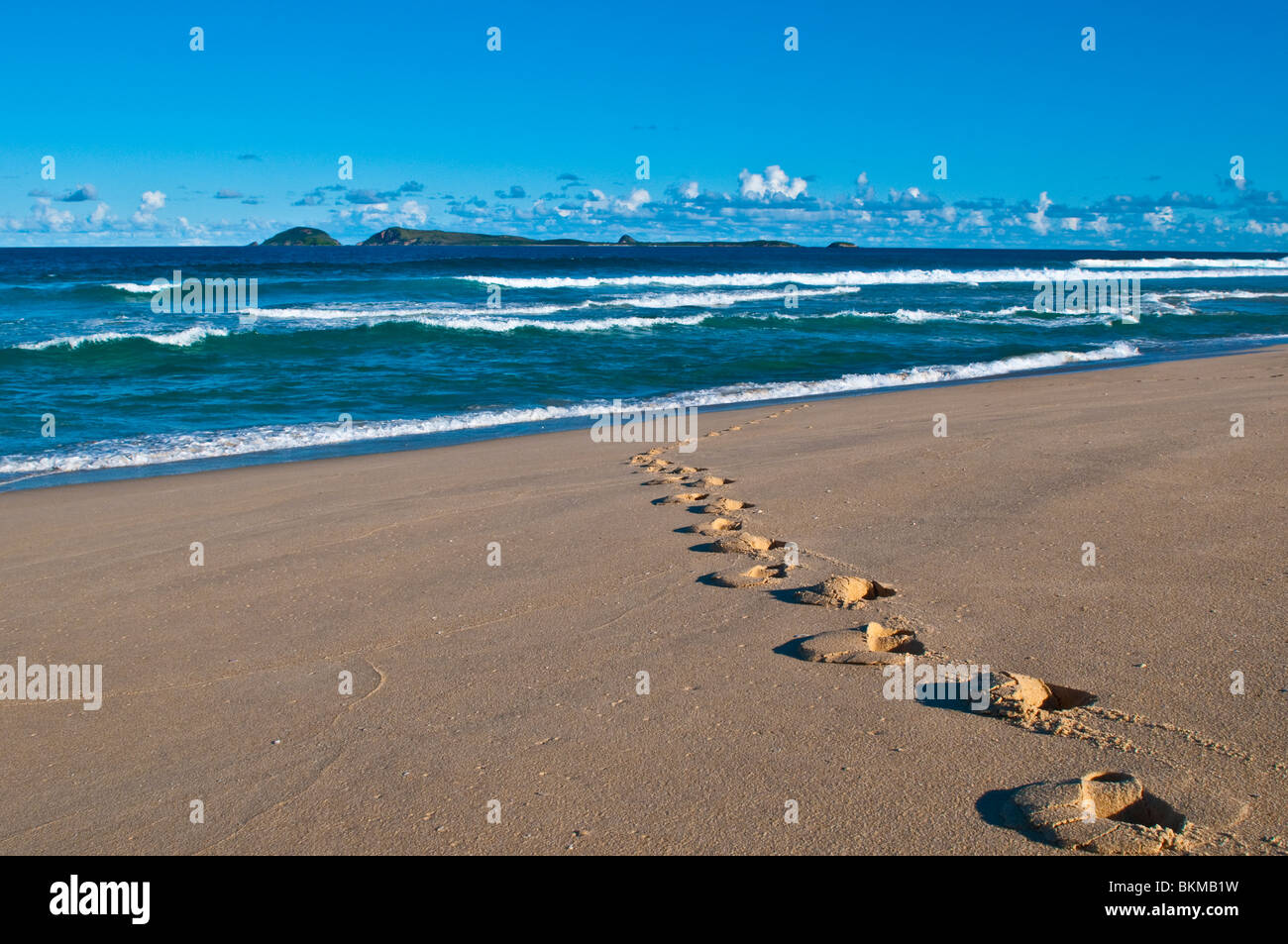 Traces dans le sable, plage sur l'océan au nord de Hawks Nest, NSW, Australie Banque D'Images