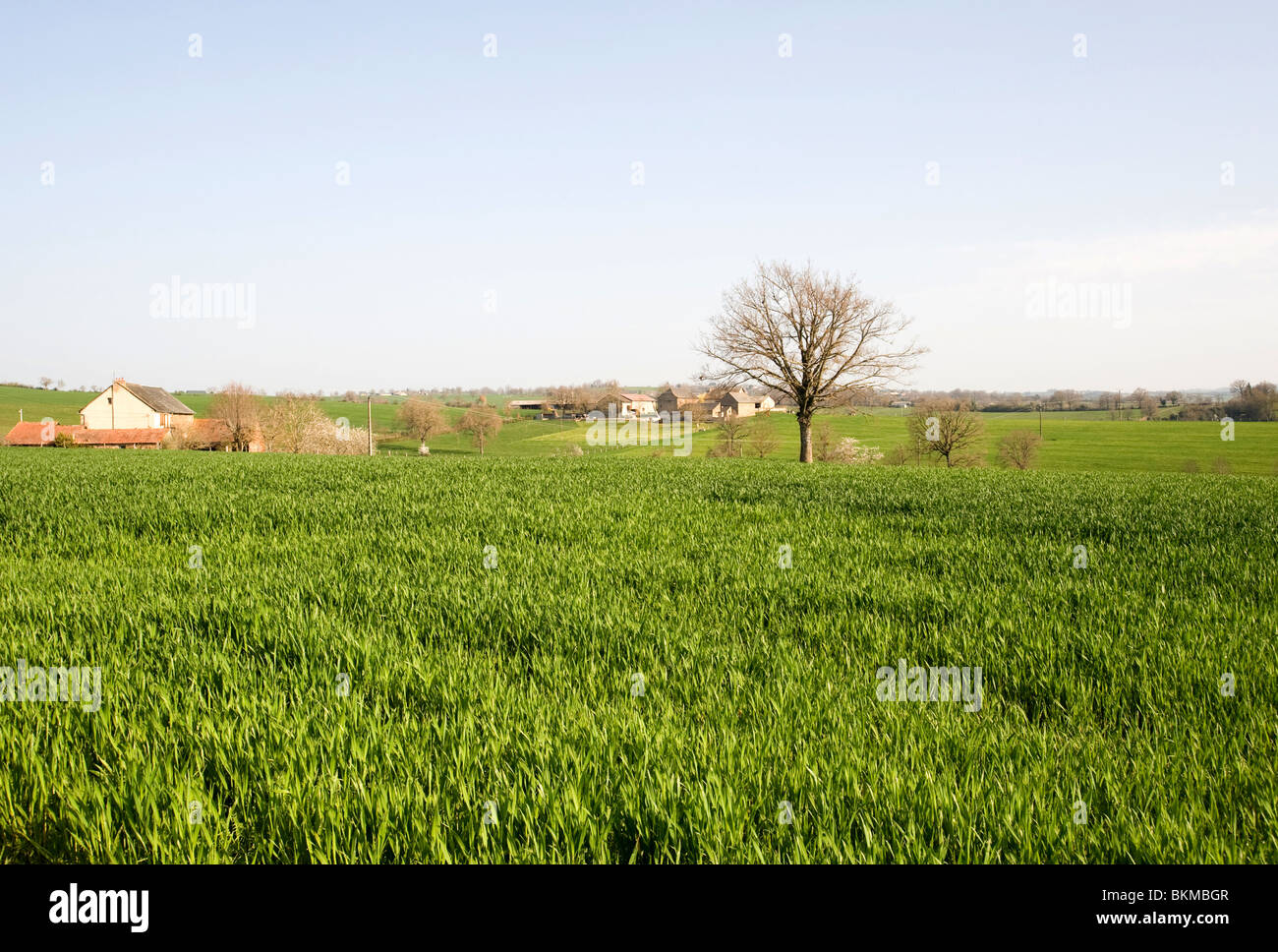 De belles terres agricoles laitières rurales dans la région agricole de l'Aveyron France près de Laval Midi-Pyrenees Banque D'Images