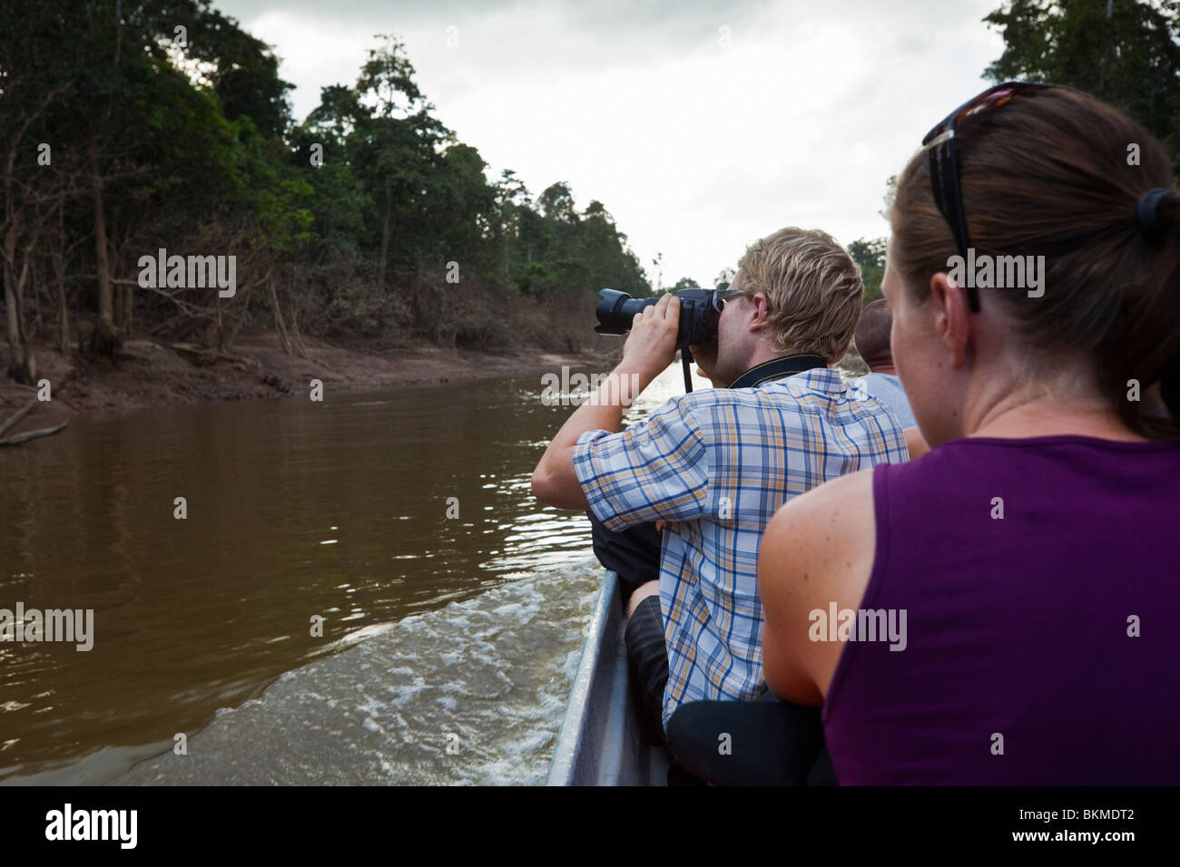 Repérage de la faune croisière sur un affluent de la rivière Kinabatangan, Sabah, Bornéo, Malaisie. Banque D'Images