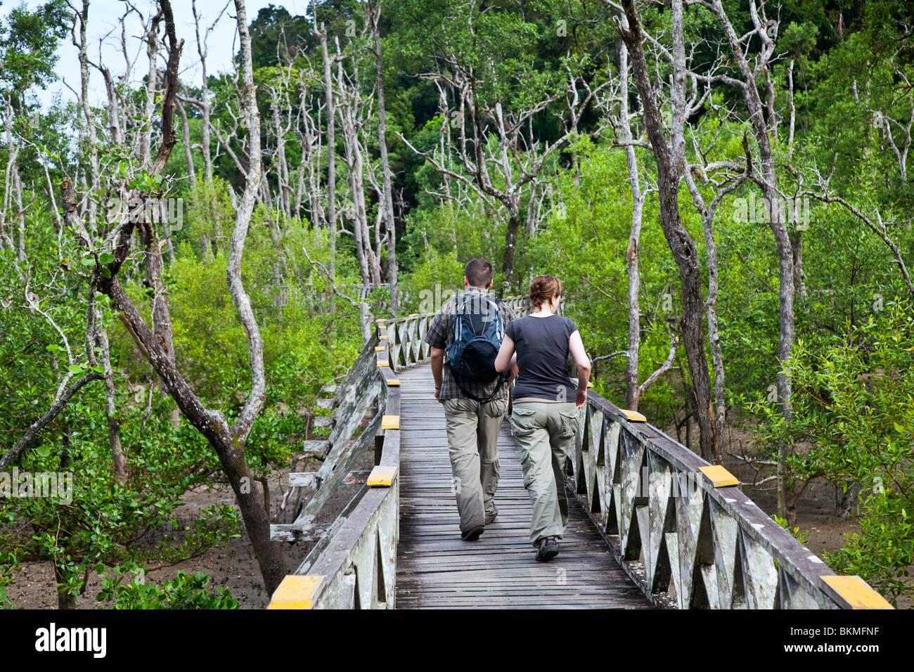 Couple randonnée le long de la Mangrove Boardwalk dans Parc national de Bako. Kuching, Sarawak, Bornéo, Malaisie. Banque D'Images