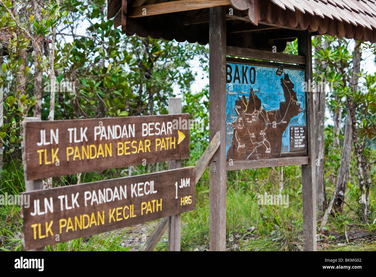 Plan de parc national de Bako. Créé en 1957, Bako est le plus ancien parc national au Sarawak. Kuching, Sarawak, Bornéo, Malaisie. Banque D'Images