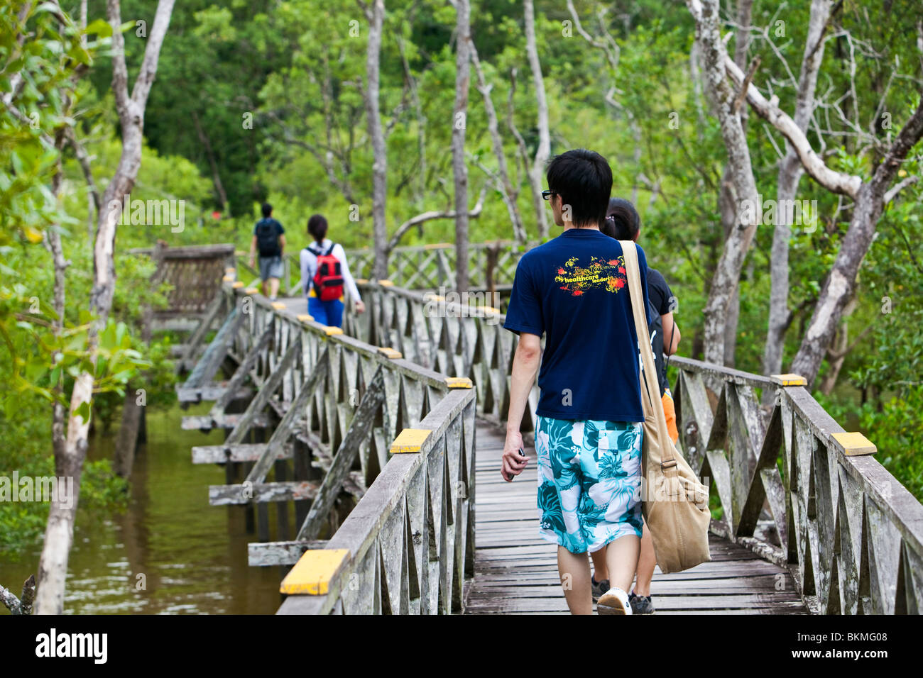 Les touristes à marcher le long de la Mangrove Boardwalk à Teluk Assam. Parc national de Bako, Kuching, Sarawak, Bornéo, Malaisie. Banque D'Images