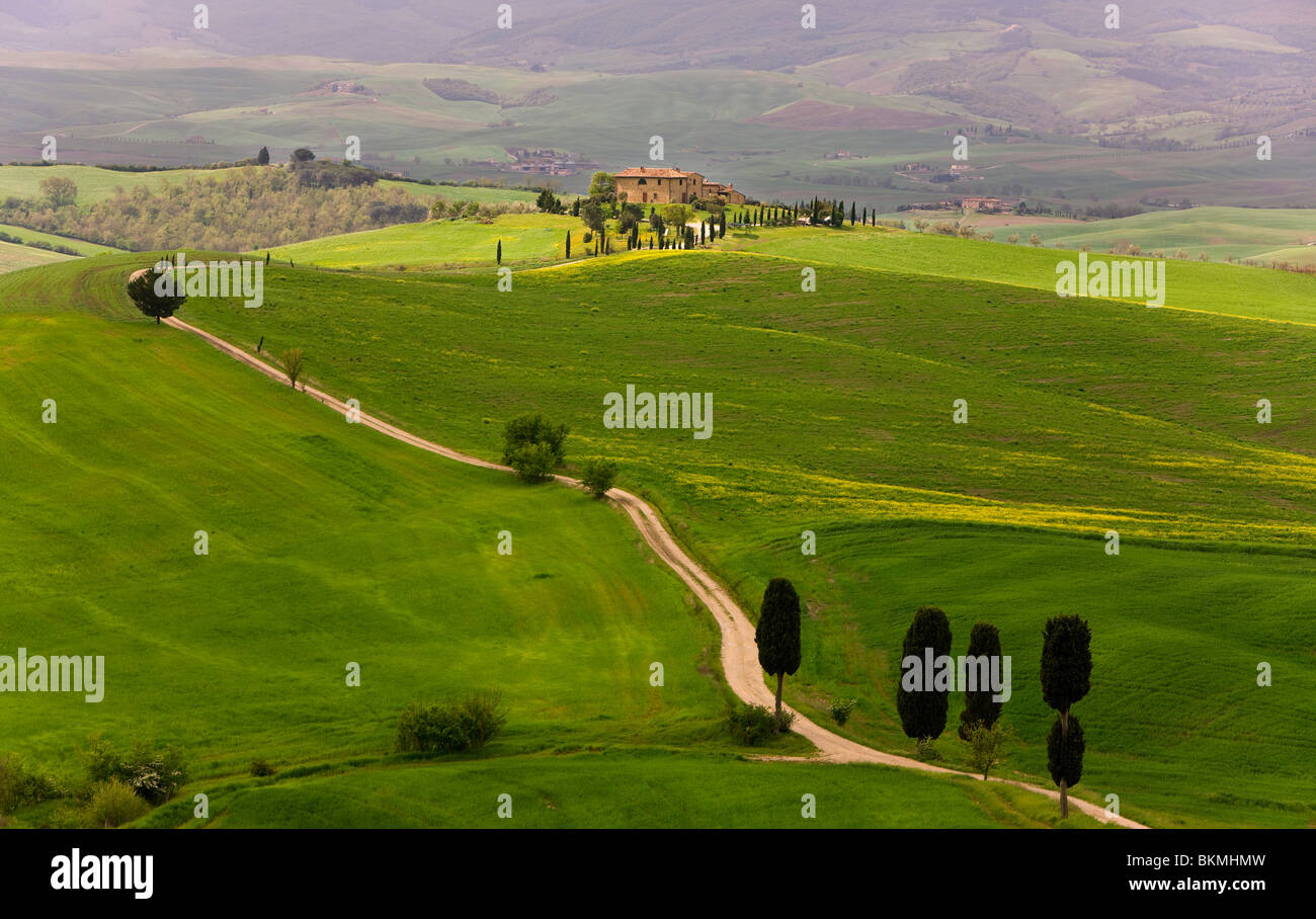 Paysage près de Pienza, Toscane, Italie Banque D'Images