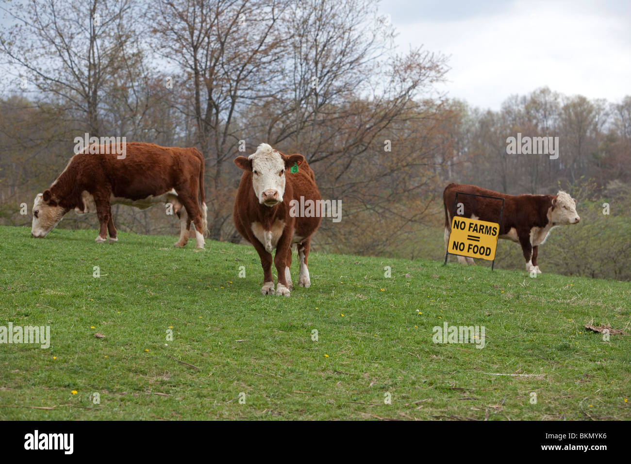 Dameron, West Virginia - un signe dans un pâturage sur une petite ferme de la Virginie de l'Ouest favorise l'agriculture. Banque D'Images