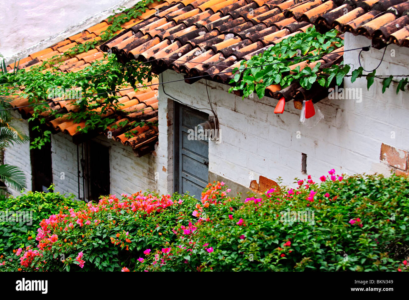 Vieux bâtiment avec toits de tuiles rouges, à Puerto Vallarta, Jalisco, Mexique Banque D'Images