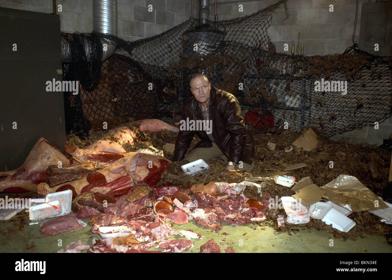 Glisser (2006) MICHAEL ROOKER SLI 001 - AG Banque D'Images