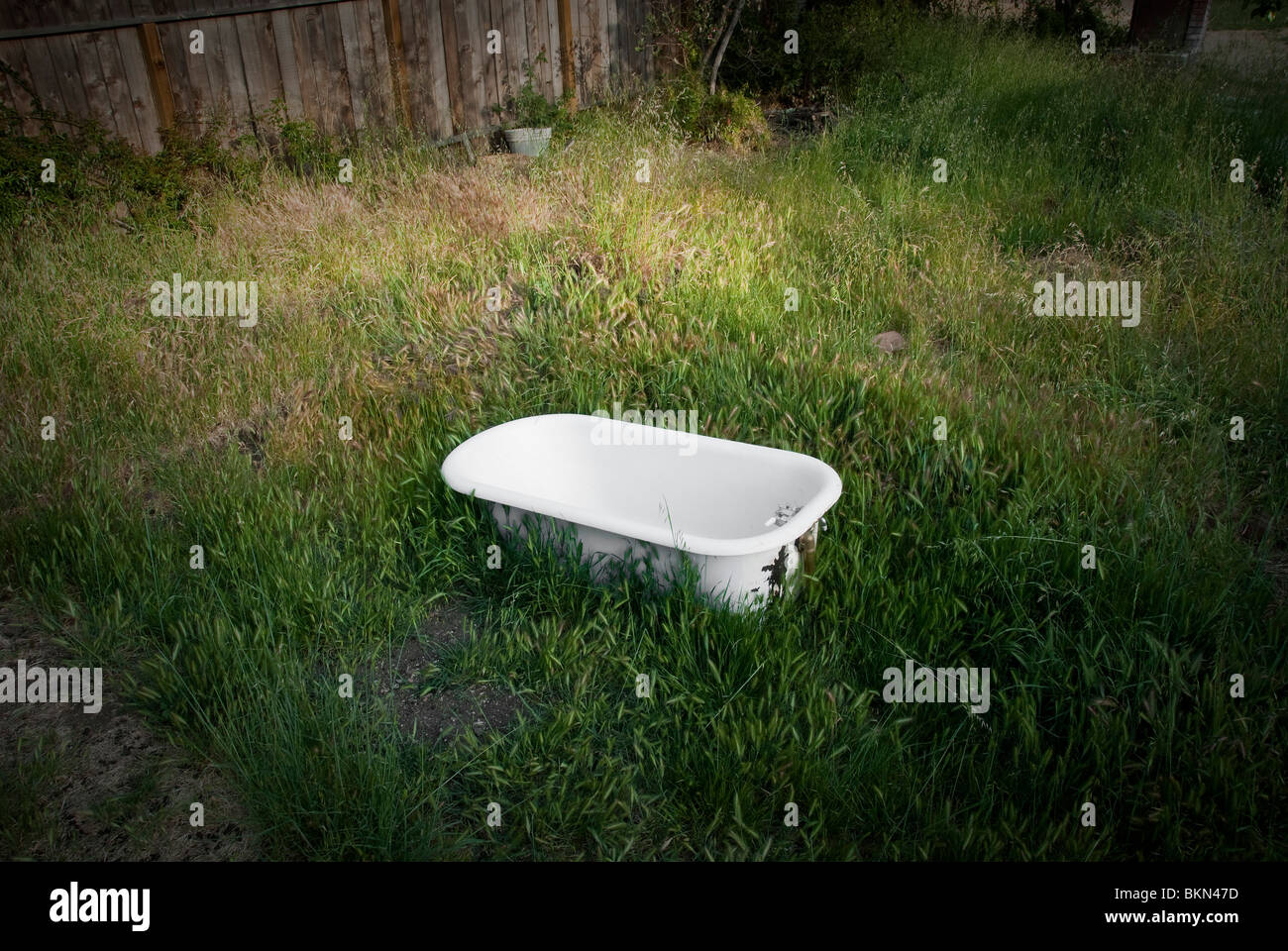 Une baignoire se trouve dans un champ d'herbe. Banque D'Images