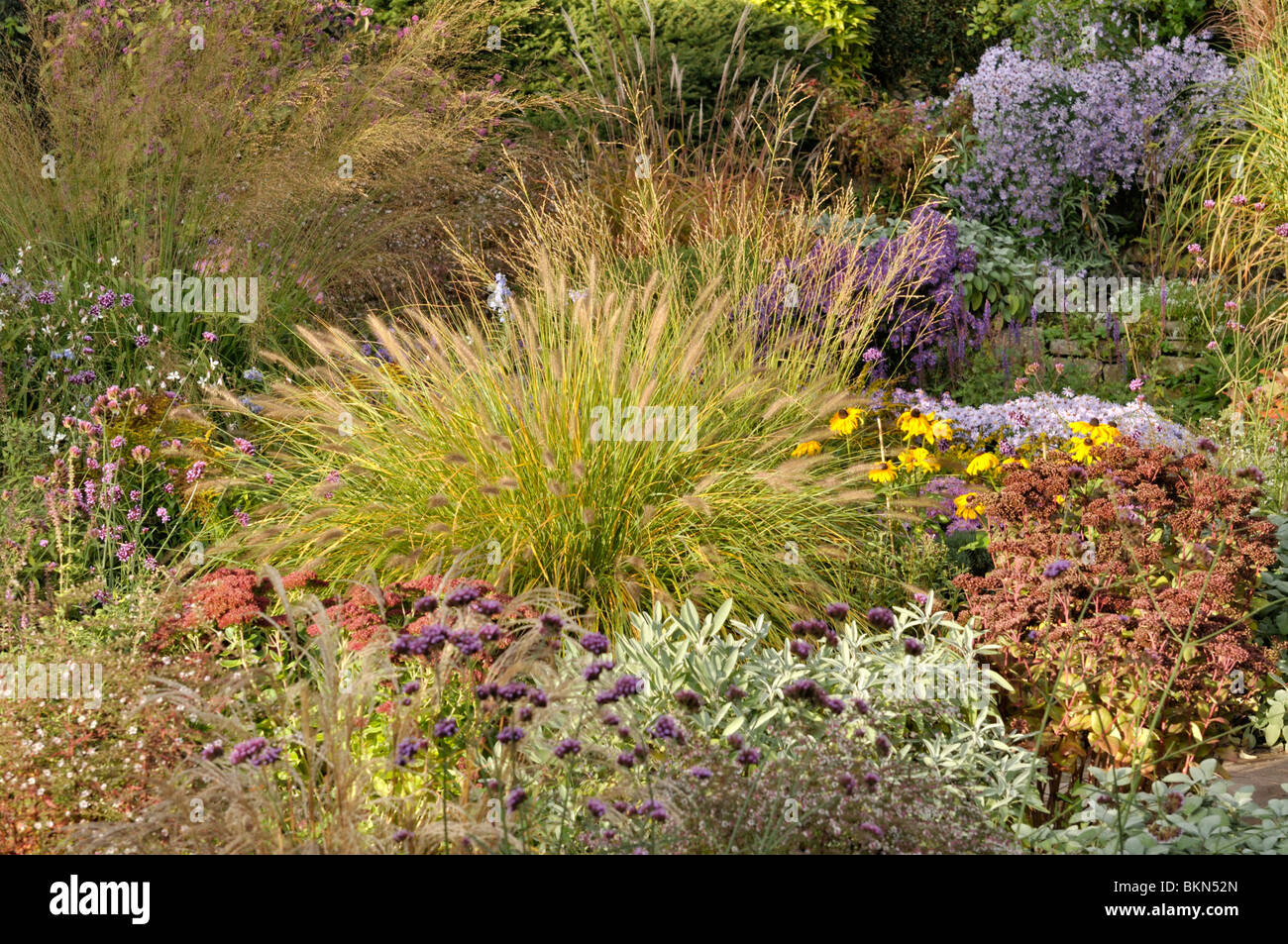 Fontaine naine (herbe pennisetum alopecuroides) dans un jardin d'automne Banque D'Images