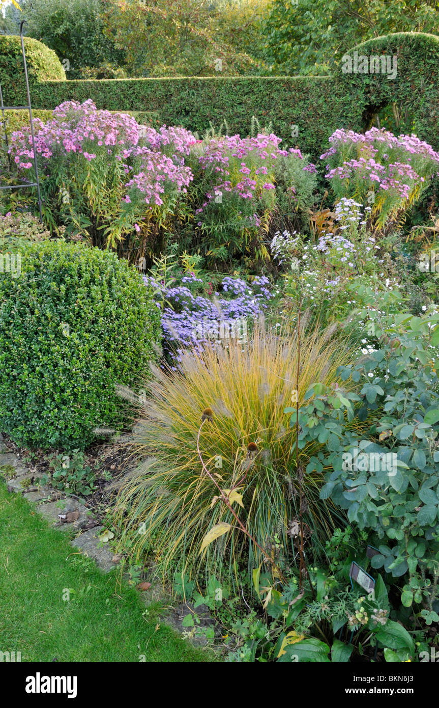 Jardin d'automne avec fontaine d'herbe (Pennisetum) et des asters (Aster). design : Marianne et detlef lüdke Banque D'Images