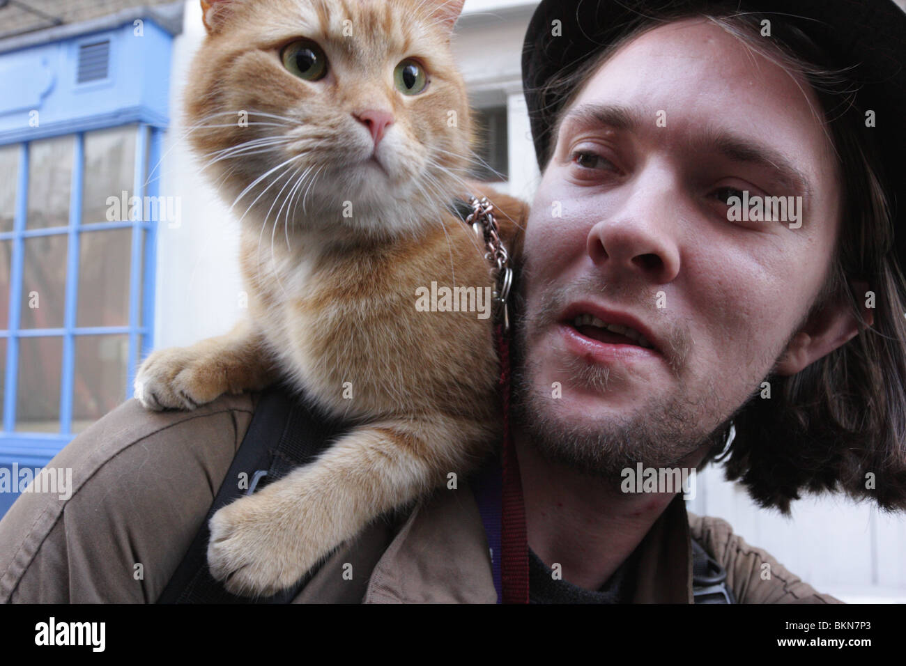 James Bowen And Bob The Cat Banque D Image Et Photos Alamy James Bowen And Bob The Cat Banque D Image Et Photos Alamy