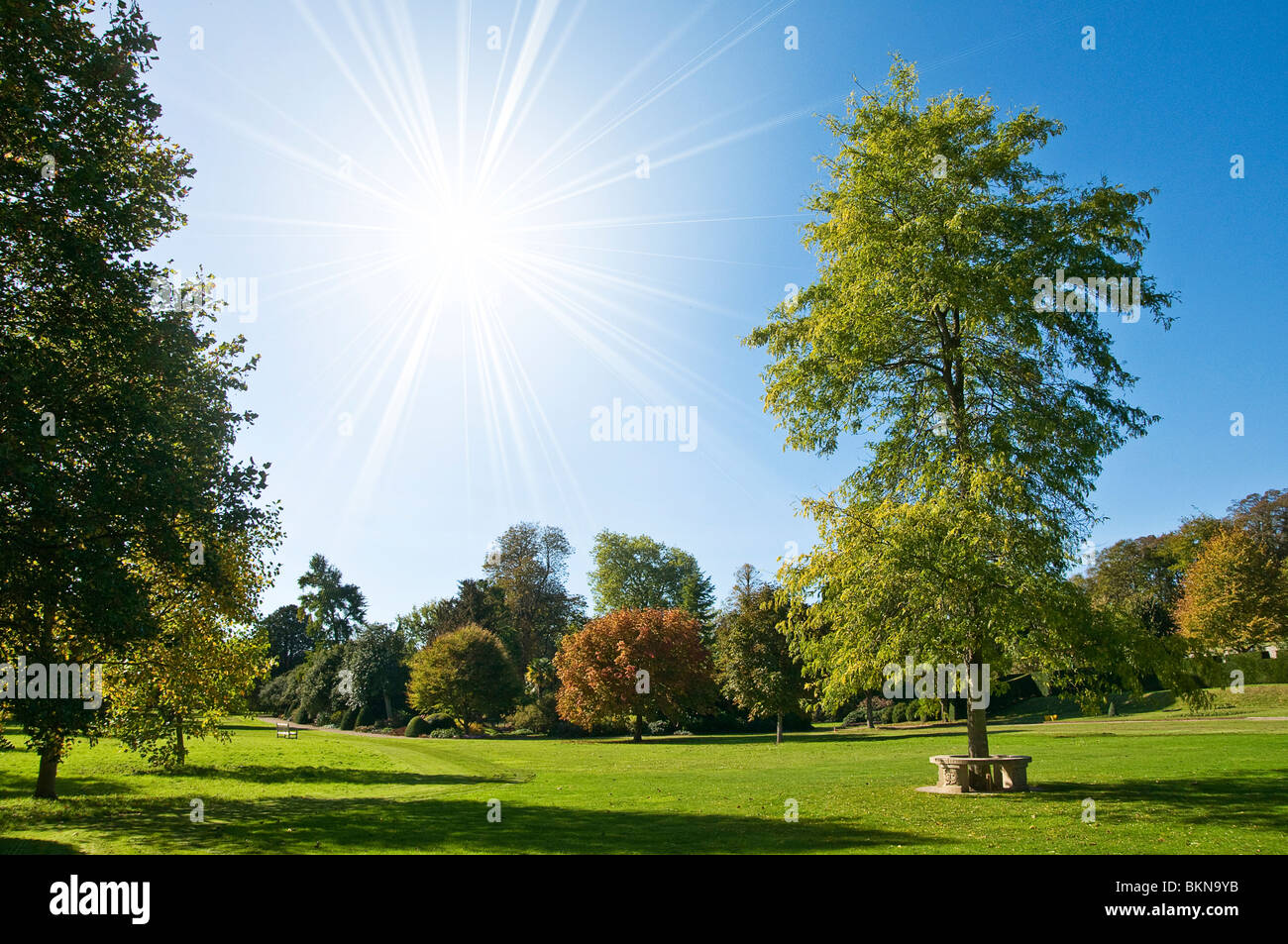 Parc d’été Banque D'Images