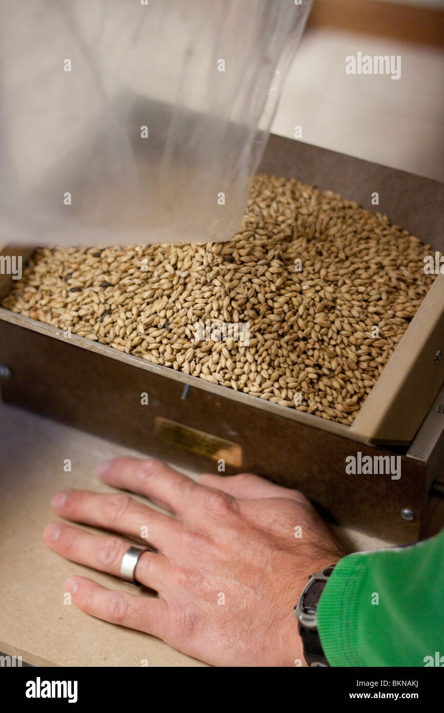 Orge Broyee Pour Faire De La Biere Brassage à domicile Banque de photographies et d'images à haute résolution  - Alamy