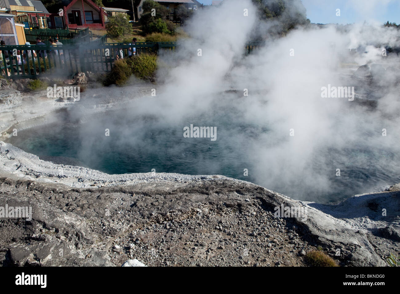 L'augmentation de la vapeur d'un pool d'ébullition à Whakarewarewa sur l'Île du Nord de Nouvelle Zélande Banque D'Images