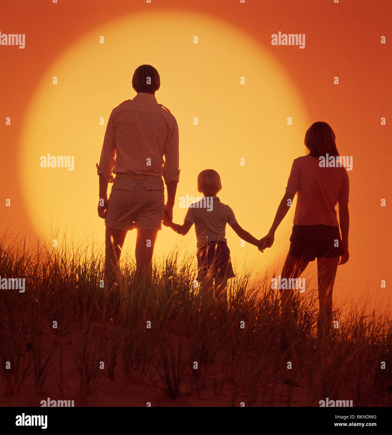 Père, mère et fils se tenant la main au coucher du soleil en face d'eux Banque D'Images