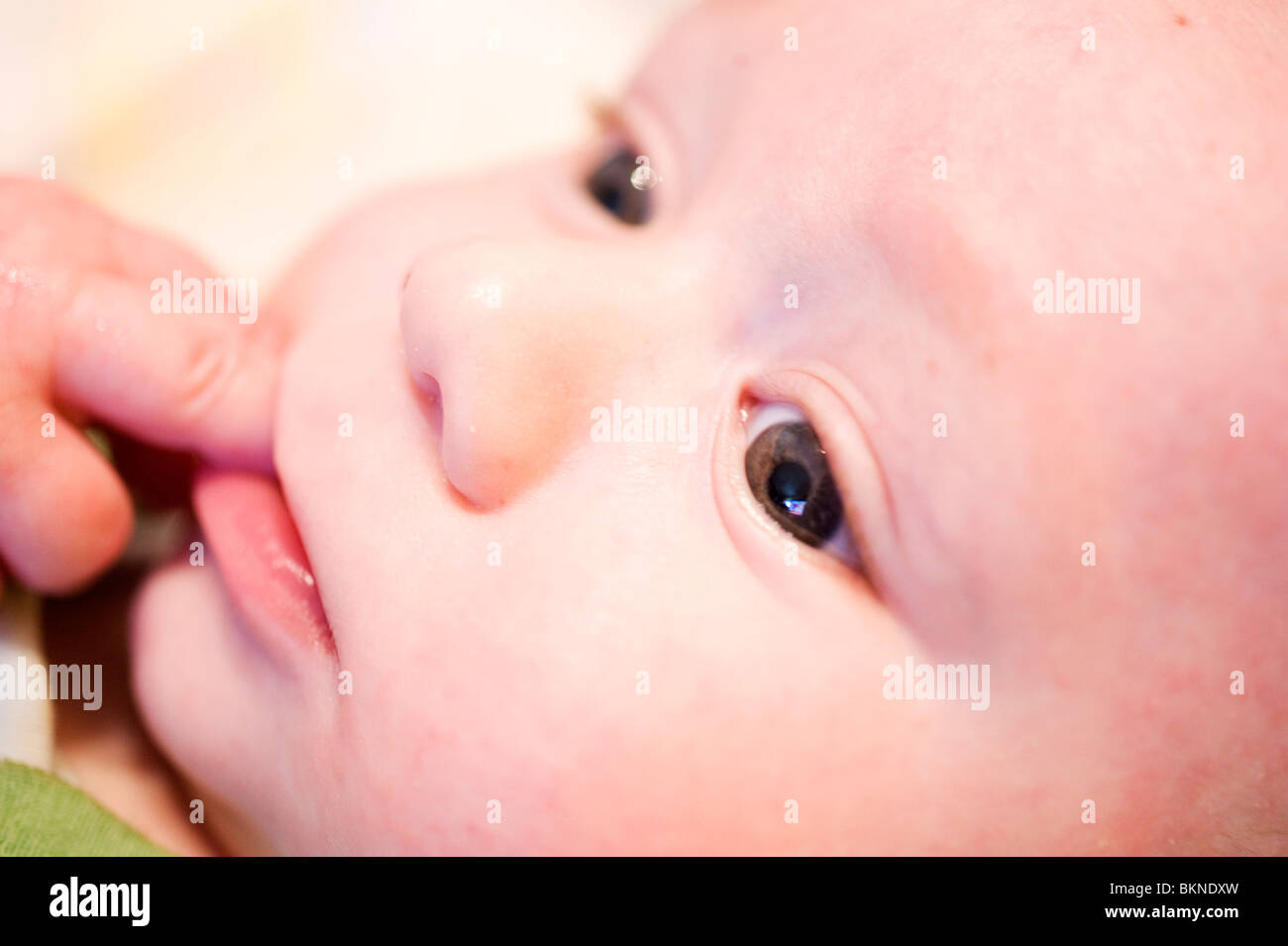 Bébé âgé de 5 mois close up sur le visage de mâcher de doigts Banque D'Images