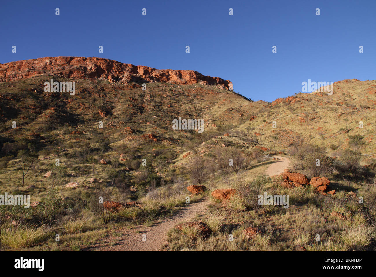 Dans l'ouest du mont Gillen MacDonnell Range près d'Alice Springs, Australie centrale Banque D'Images