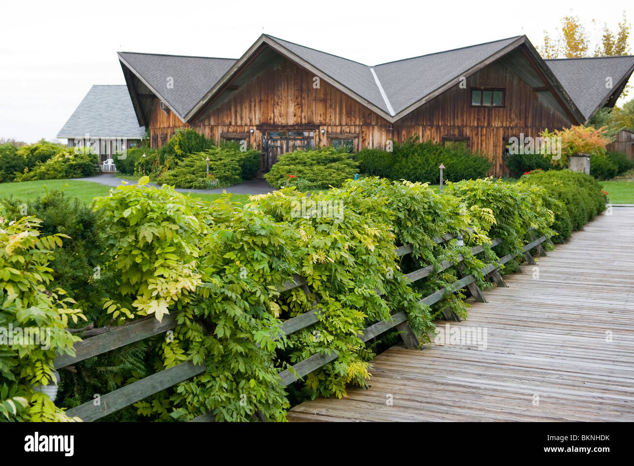 Winery dans la région de Finger Lakes New York Banque D'Images